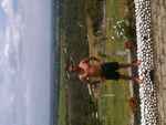 nice looking Colombia man  from Popayan CO9411